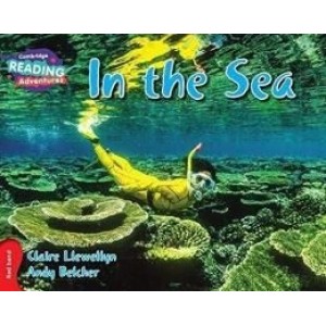 LIVRO IN THE SEA- RED BAND