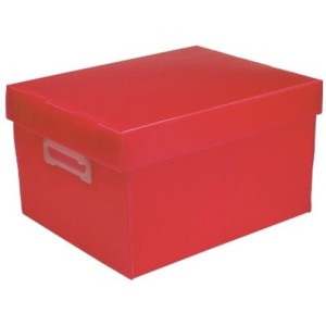 CAIXA ORG.PLASTICA MEDIA C/PEGADOR COLOR