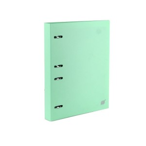 FICHARIO 4 ARGOLAS COLEGIAL C/ DIVISORIA PASTEL